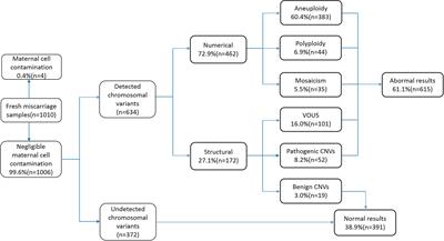 Analysis of Chromosomal Copy Number in First-Trimester Pregnancy Loss Using Next-Generation Sequencing